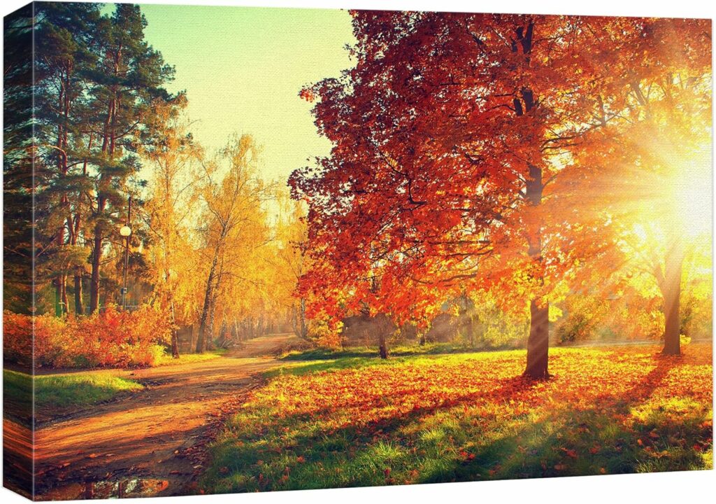 How Acrylic Photos Make Your Memories Shine with Vibrant Colors